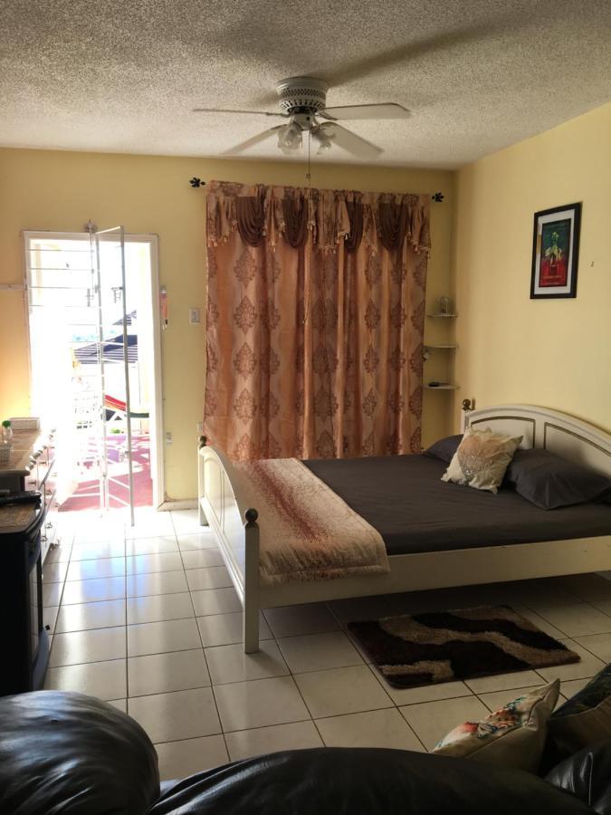 #D1 Castle Studio Wifi King Bed Ocho Rios Jamaica Kültér fotó