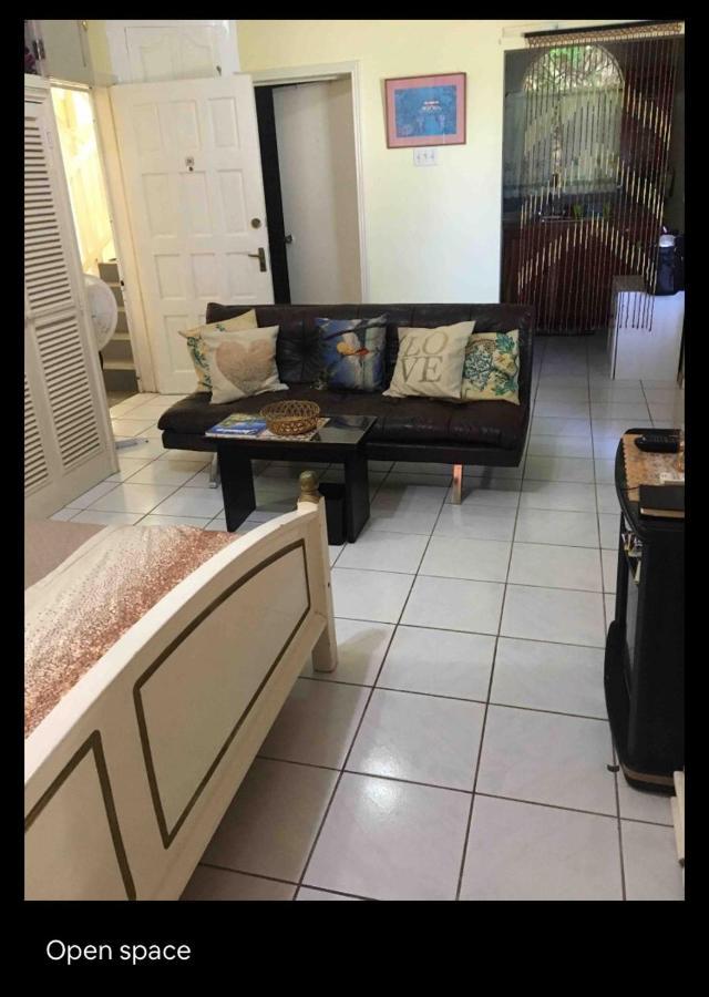 #D1 Castle Studio Wifi King Bed Ocho Rios Jamaica Kültér fotó
